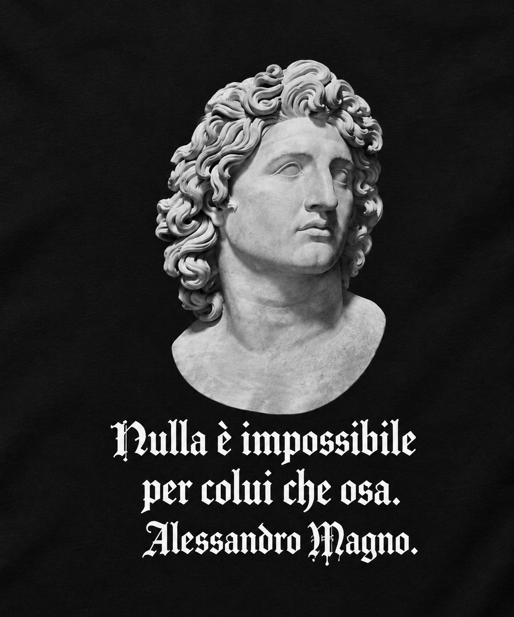 ALEXANDER — Maglietta boxy stampa grande (Nera)
