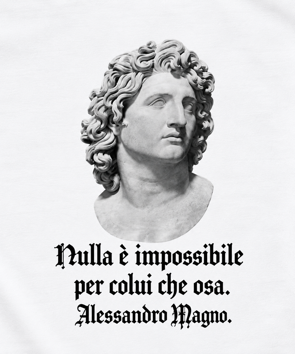 ALEXANDER — Maglietta boxy stampa petto (Bianca)